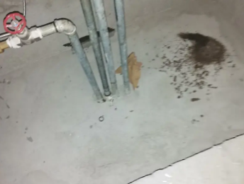 嘉定卫生间测漏水价格明细